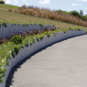 Storm Surge & Coastal Erosion